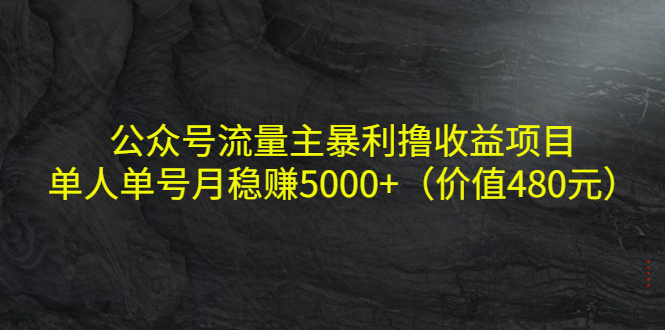 公众号流量主暴利撸收益项目，单人单号月稳赚5000 （价值480元）-小柒笔记