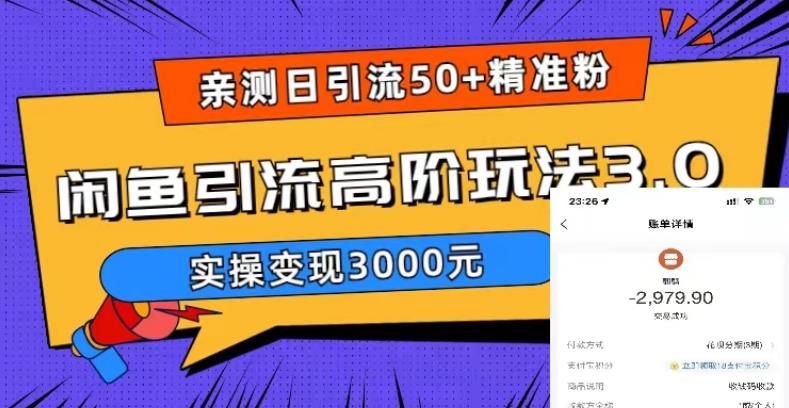 亲测日引50+精准粉，闲鱼引流高阶玩法3.0，实操变现3000元【揭秘】-小柒笔记