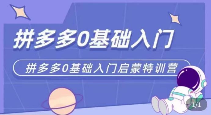 拼多多运营0-1实操特训营，拼多多0基础入门，从基础到进阶的可实操玩法-小柒笔记