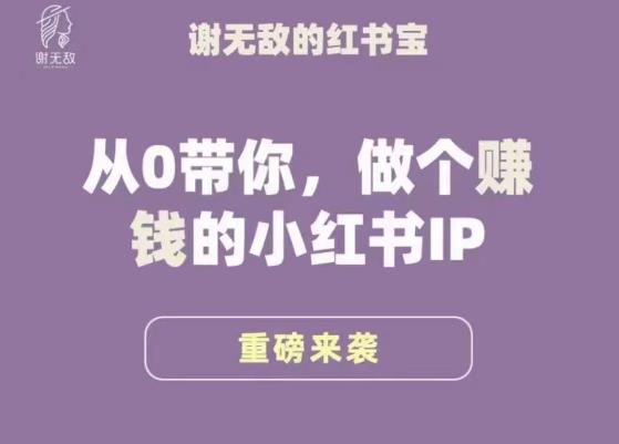 谢无敌·小红书运营大宝典，从0带你做个赚钱的小红书IP-小柒笔记