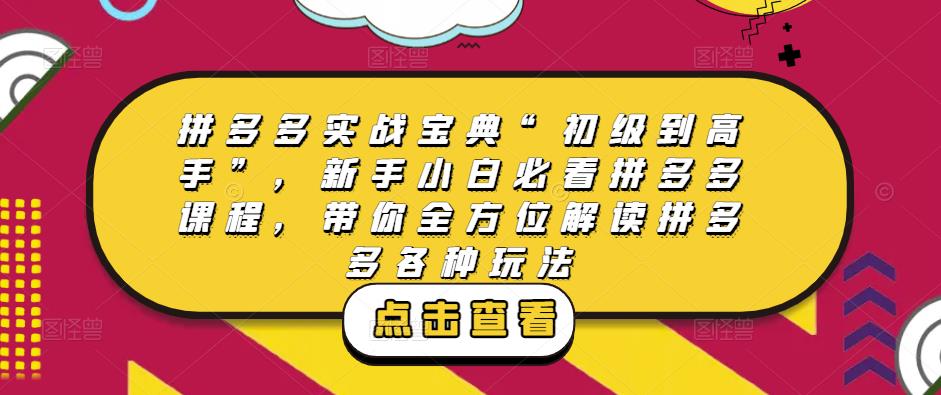 拼多多实战宝典“初级到高手”，新手小白必看拼多多课程，带你全方位解读拼多多各种玩法-小柒笔记