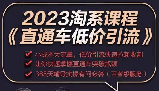 2023直通车低价引流玩法课程，小成本大流量，低价引流快速拉新收割，让你快速掌握直通车突破瓶颈-小柒笔记