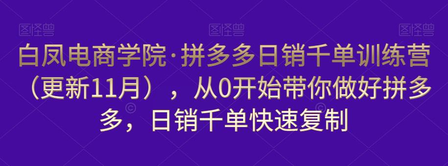 白凤电商学院·拼多多日销千单训练营，从0开始带你做好拼多多，日销千单快速复制（更新知2023年3月）-小柒笔记