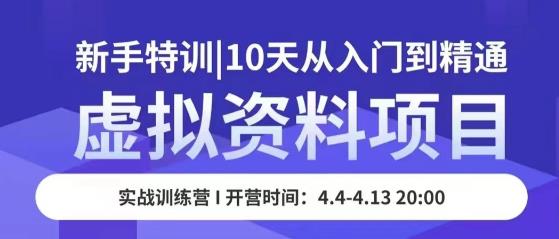 虚拟资料项目新手特训，10天从入门到精通，保姆级实操教学-小柒笔记