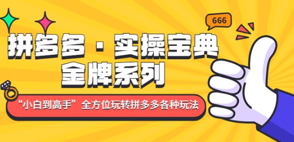 拼多多·实操宝典：金牌系列“小白到高手”带你全方位玩转拼多多各种玩法-小柒笔记