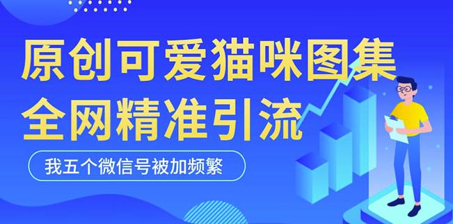 黑科技纯原创可爱猫咪图片，全网精准引流，实操5个VX号被加频繁-小柒笔记