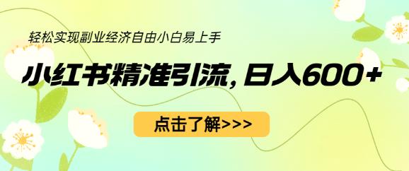 小红书精准引流，小白日入600+，轻松实现副业经济自由（教程+1153G资源）-小柒笔记