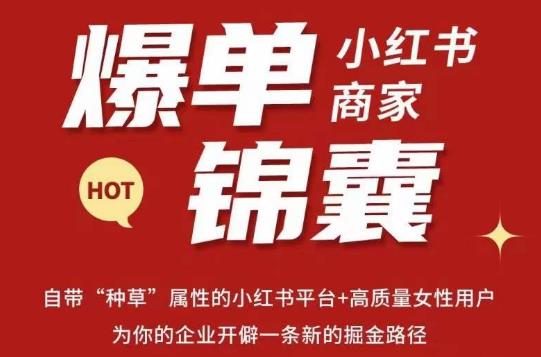 无畏·小红书商家爆单锦囊，掌握小红书各大规则，快速精准抢占行业和市场-小柒笔记