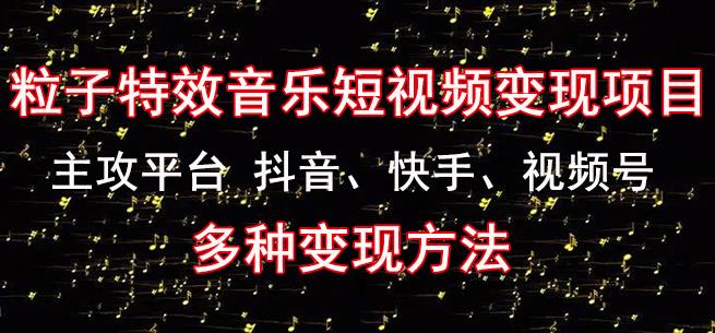 黄岛主《粒子特效音乐短视频变现项目》主攻平台抖音、快手、视频号多种变现方法-小柒笔记