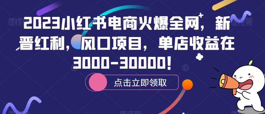 2023小红书电商火爆全网，新晋红利，风口项目，单店收益在3000-30000！-小柒笔记