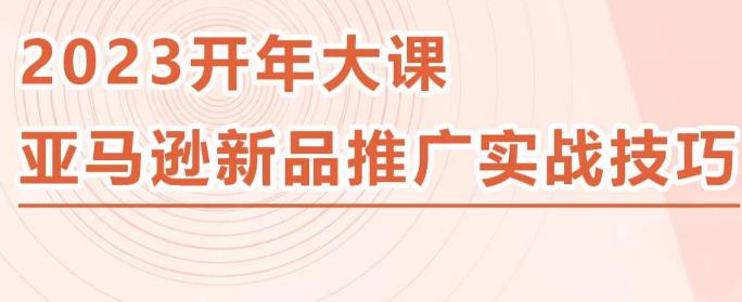 2023亚马逊新品推广实战技巧，线下百万美金课程的精简版，简单粗暴可复制，实操性强的推广手段-小柒笔记