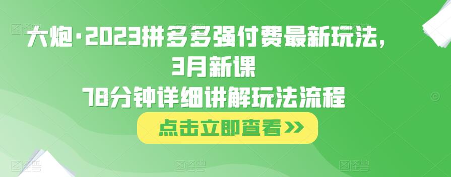 大炮·2023拼多多强付费最新玩法，3月新课​78分钟详细讲解玩法流程-小柒笔记