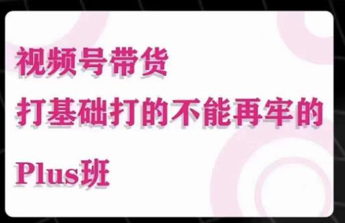 大播汇·视频号带货Puls班，视频号底层逻辑，起号自然流鱼塘等玩法-小柒笔记