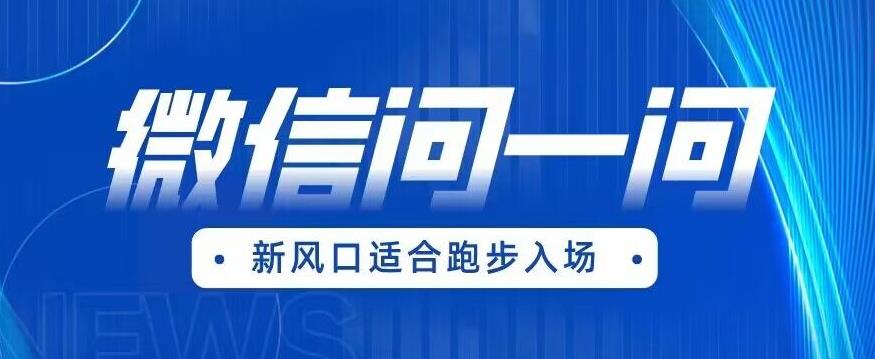 全网首发微信问一问新风口变现项目（价值1999元）【揭秘】-小柒笔记