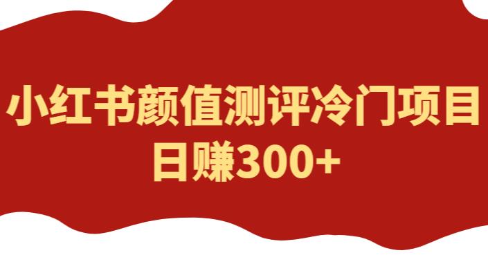 外面1980的项目，小红书颜值测评冷门项目，日赚300+【揭秘】-小柒笔记