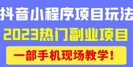 抖音小程序9.0新技巧，2023热门副业项目，动动手指轻松变现-小柒笔记