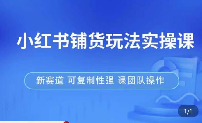 小红书铺货玩法实操课，流量大，竞争小，非常好做，新赛道，可复制性强，可团队操作-小柒笔记