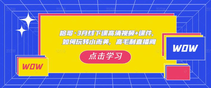 哈哥·3月线下实操课高清视频+课件，如何玩转小而美，高毛利直播间-小柒笔记