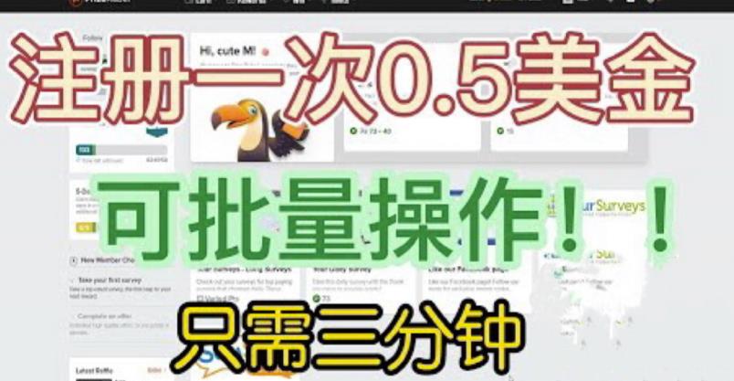 国外项目注册一次0.5美金，只需三分钟无脑操作，可批量同时放大操作，小白工作室福利【揭秘】-小柒笔记