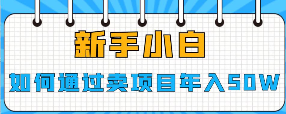 新手小白如何通过卖项目年入50W【揭秘】-小柒笔记