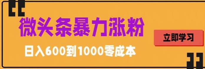 微头条暴力涨粉技巧搬运文案就能涨几万粉丝，简单0成本，日赚600【揭秘】-小柒笔记