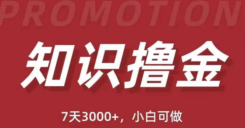 抖音知识撸金项目：简单粗暴日入1000+执行力强当天见收益(教程+资料)-小柒笔记