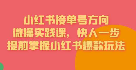 接单号方向·小红书微操实践课，快人一步，提前掌握小红书爆款玩法-小柒笔记