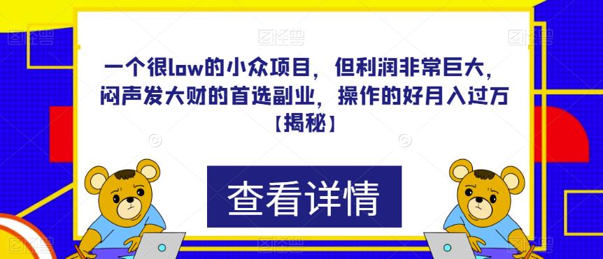 一个很low的小众项目，但利润非常巨大，闷声发大财的首选副业，操作的好月入过万【揭秘】-小柒笔记