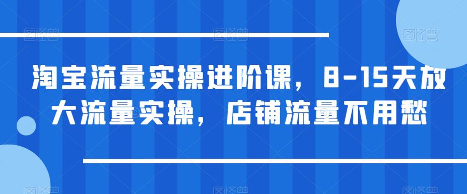 淘宝流量实操进阶课，8-15天放大流量实操，店铺流量不用愁-小柒笔记