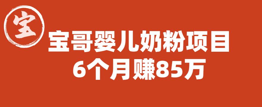 宝哥婴儿奶粉项目，6个月赚85w【图文非视频】【揭秘】-小柒笔记