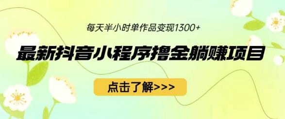 最新抖音小程序撸金躺赚项目，一部手机每天半小时，单个作品变现1300+【揭秘】-小柒笔记