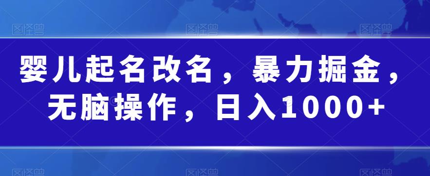 婴儿起名改名，暴力掘金，无脑操作，日入1000+【揭秘】-小柒笔记