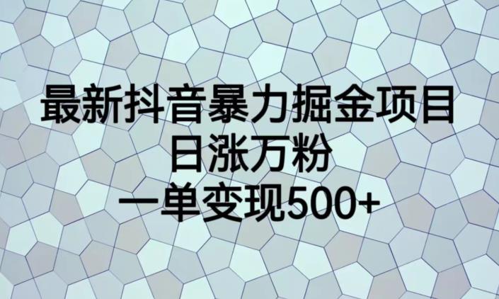 最新抖音暴力掘金项目，日涨万粉，一单变现500+【揭秘】-小柒笔记