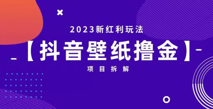 抖音壁纸小程序创作者撸金项目，2023新红利玩法【项目拆解】-小柒笔记