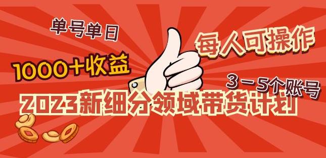 2023新细分领域带货计划：单号单日1000+收益不难，每人可操作3-5个账号-小柒笔记