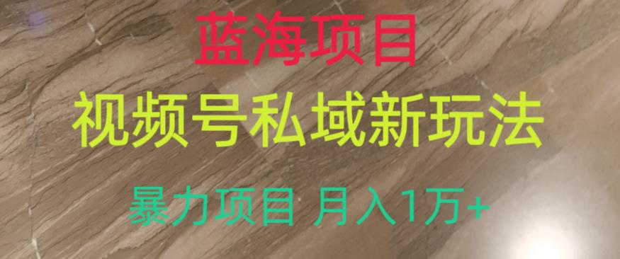 蓝海项目，视频号私域新玩法，暴力项目月入1万+【揭秘】-小柒笔记