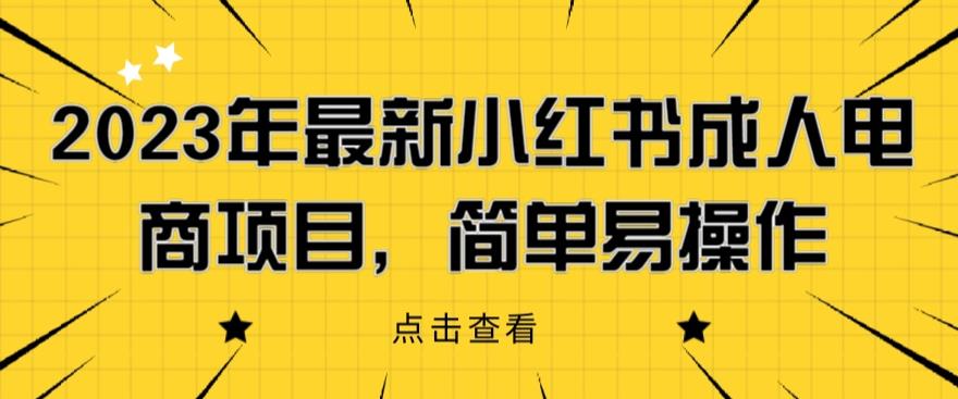 2023年最新小红书成人电商项目，简单易操作【详细教程】【揭秘】-小柒笔记