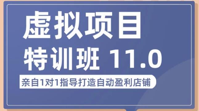 陆明明·虚拟项目特训班（10.0+11.0），0成本获取虚拟素材，0基础打造自动盈利店铺-小柒笔记