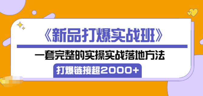 凌童《新品打爆实战班》,一套完整的实操实战落地方法，打爆链接超2000 （28节课)-小柒笔记