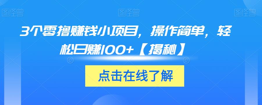 3个零撸赚钱小项目，操作简单，轻松日赚100+【揭秘】-小柒笔记