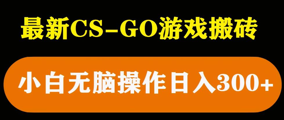 最新csgo游戏搬砖游戏，无需挂机小白无脑也能日入300+-小柒笔记