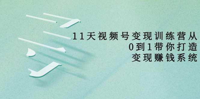 11天视频号变现训练营，从0到1打造变现赚钱系统（价值398元）-小柒笔记