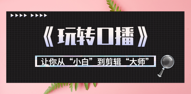 月营业额700万 大佬教您《玩转口播》让你从“小白”到剪辑“大师”-小柒笔记