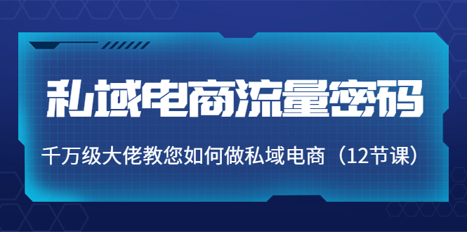 私域电商流量密码：千万级大佬教您如何做私域电商（12节课）-小柒笔记