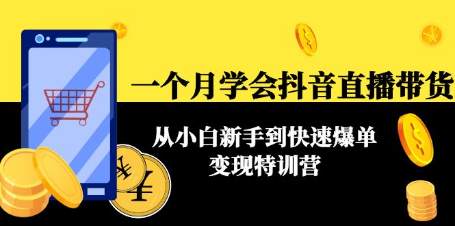 一个月学会抖音直播带货：从小白新手到快速爆单变现特训营(63节课)-小柒笔记