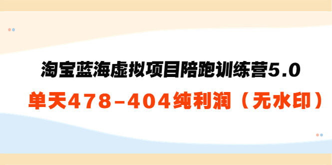 淘宝蓝海虚拟项目陪跑训练营5.0：单天478纯利润-小柒笔记