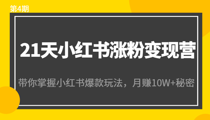 21天小红书涨粉变现营（第4期）：带你掌握小红书爆款玩法，月赚10W 秘密-小柒笔记