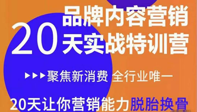 《内容营销实操特训营》20天让你营销能力脱胎换骨（价值3999）-小柒笔记