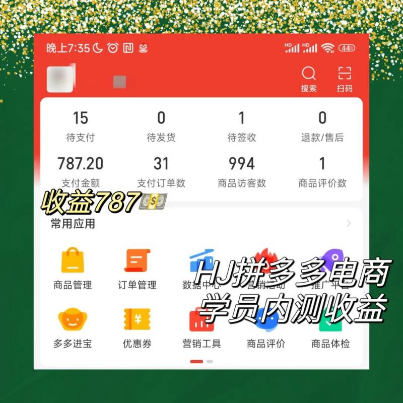 2023拼多多电商项目，稳定一天300～3000+，门槛低，出单快，一部手机即可完成插图3