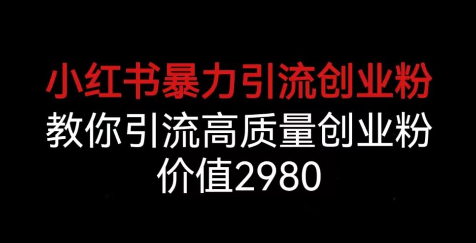 小红书暴力引流创业粉，教你引流高质量创业粉，价值2980【揭秘】-小柒笔记